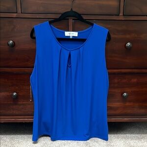 Blue Sleeveless Top